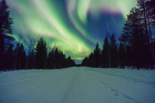 Kilátás Aurora Borealis Ismert Északi Fény Havas Felett Erdőben — Stock Fotó