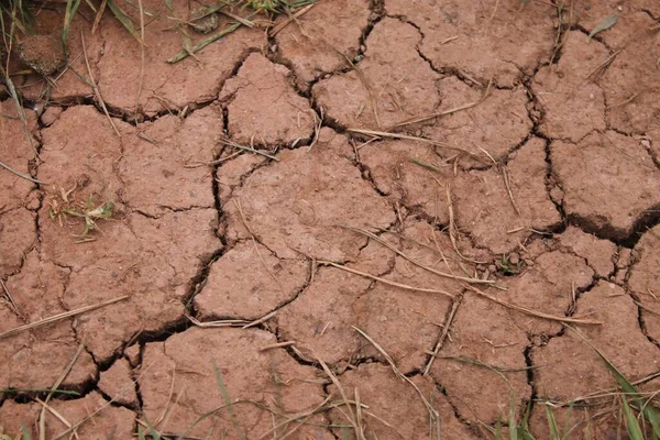 乾燥した茶色の地面の閉鎖と荒野の亀裂 地球のテクスチャの亀裂 — ストック写真