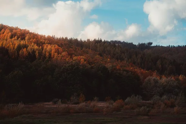 秋には太陽の光が差し込むドイツのハルツ国立公園の美しい景色 — ストック写真
