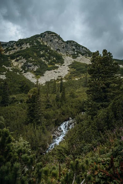 Une Verticale Rivière Mousseuse Dans Forêt Verte Avec Une Montagne — Photo