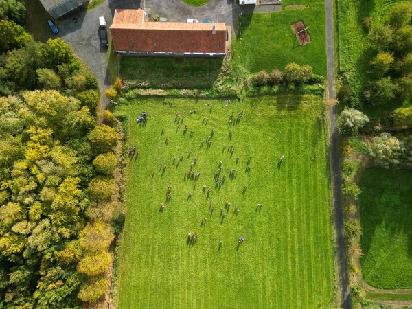 Воздушный Снимок Группы Детей Играющих Зеленом Поле — стоковое фото