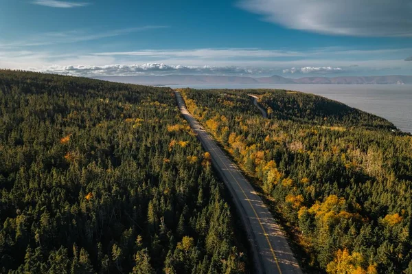 在一个阳光明媚的秋日 空中拍摄了一条沿着黄绿相间的森林行进的道路 — 图库照片