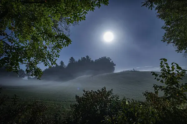 Туманный Ночной Вид Полнолунием Смотрящим Сквозь Изгороди — стоковое фото