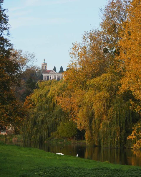 Eine Vertikale Aufnahme Schöner Herbstbäume Der Nähe Des Flusses — Stockfoto