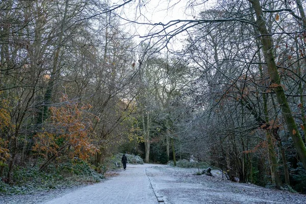Прогулянка Зимову Погоду Хесмонд Ден Ньюкасл Апон Тайн Велика Британія — стокове фото