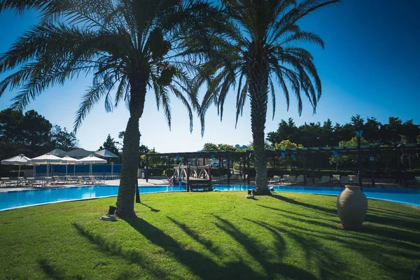 在一个阳光灿烂的日子里 在度假胜地拍到了一个带有棕榈树的游泳池的绝妙照片 — 图库照片