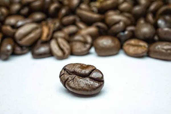 Egy Közeli Felvétel Egyetlen Barna Kávébabról Sok Más Kávébab Homályos — Stock Fotó
