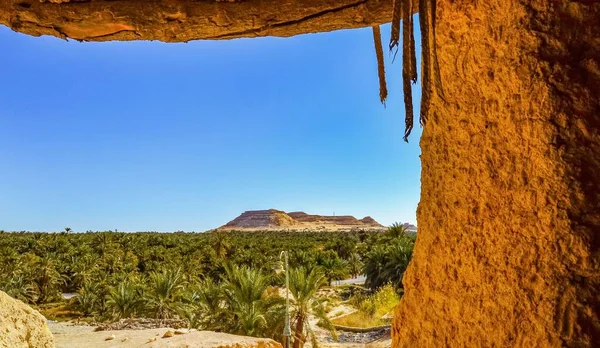 Krajina Pohled Siwa Oasis Skalnatými Horami Palmami Egyptě — Stock fotografie