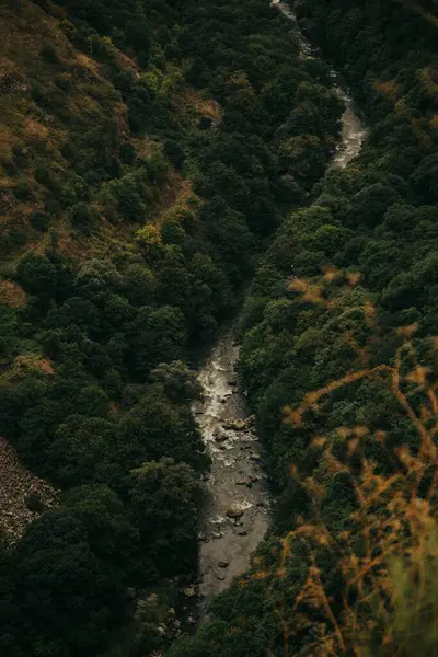 Dar Nehrin Yemyeşil Ağaçlarla Çevrili Bir Görüntüsü — Stok fotoğraf