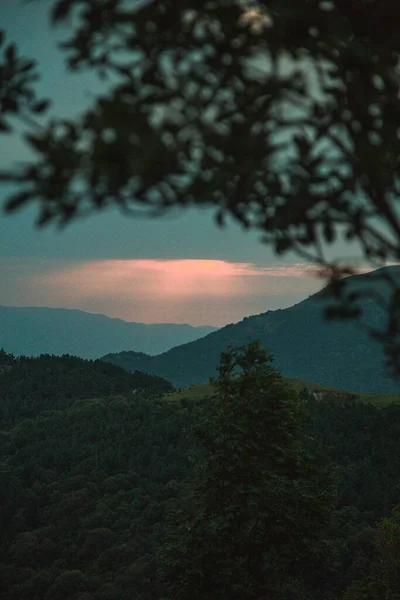 Вертикальний Знімок Гілок Дерева Заходом Сонця Над Пагорбами Позаду — стокове фото