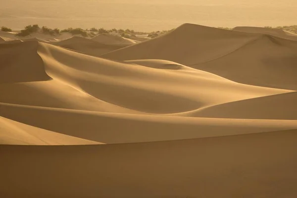 Fehér Homokdűnék Selymes Sima Textúrával Sivatagban — Stock Fotó
