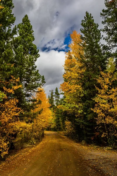 Mavi Bulutlu Gökyüzü Ile Renkli Sonbahar Ağaçları Arasındaki Toprak Yol — Stok fotoğraf
