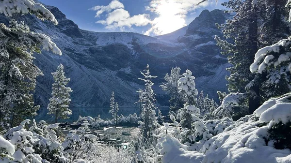 Árvores Cobertas Neve Água Lago Claro Com Montanhas Joffre Lakes — Fotografia de Stock