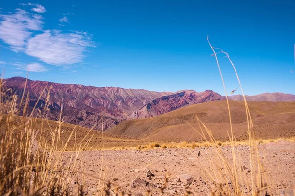 아르헨티나의 마을에 언덕으로 — 스톡 사진