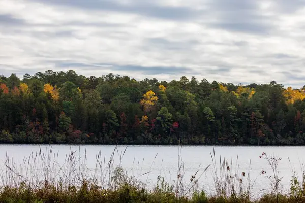 Chesterfield County Güney Carolina Daki Cheraw State Park Sonbahar Ağaçlarına — Stok fotoğraf