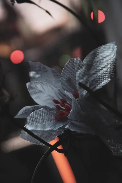 Kırmızı Tomurcuklu Beyaz Kağıt Bir Çiçeğin Dikey Yakın Çekimi — Stok fotoğraf