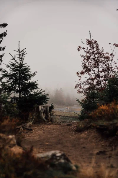 Una Hermosa Vista Del Parque Nacional Harz Alemania Con Árboles —  Fotos de Stock