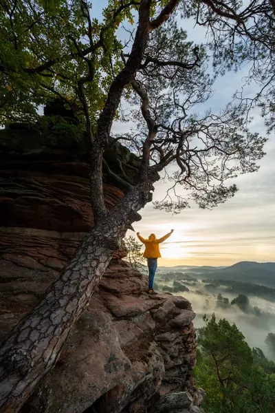 Man Yellow Jacket Standing Top Mountain — Stock Photo, Image