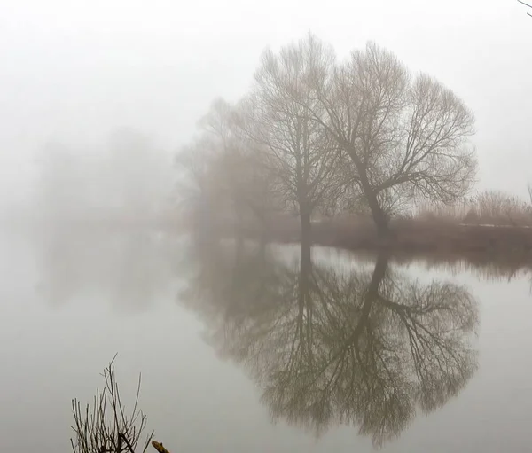 Kasvetli Bir Günde Sisle Kaplı Ağaçlarla Çevrili Bir Göl Manzarası — Stok fotoğraf