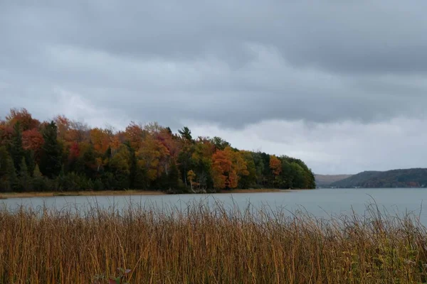 Une Vue Paysage Sur Les Arbres Automne Colorés Entourant Lac — Photo