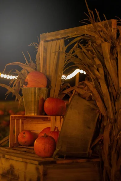 Tiro Vertical Cenário Halloween Com Abóboras — Fotografia de Stock