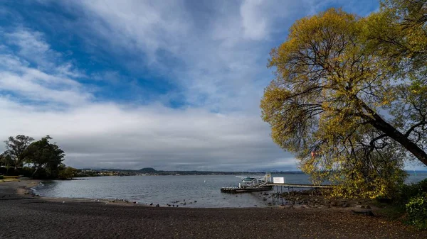 stock image A drone shot of a wooden dock on the lake surface with a tree on its coast in New Zealand