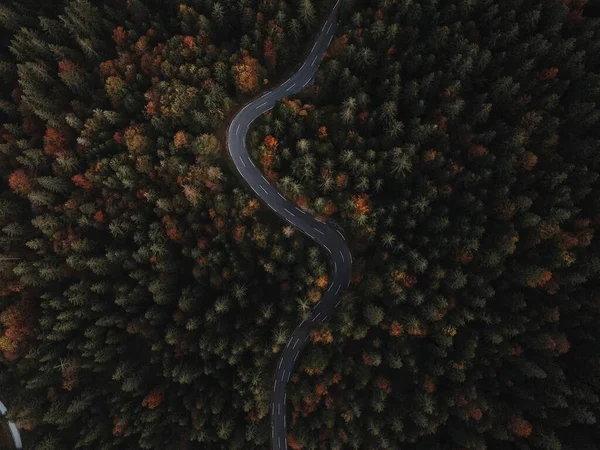 Вид Воздуха Дорогу Через Лес — стоковое фото