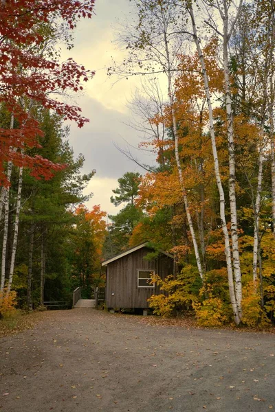 カナダの森の中の木造住宅の垂直ショット — ストック写真