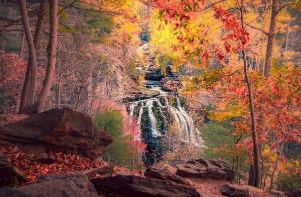 Landscape Scene Mcdonald Waterfall Cascading Autumn Forest Trees — Stock Photo, Image