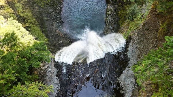 Låg Vinkel Syn Brandywine Falls Skogen Kanada — Stockfoto