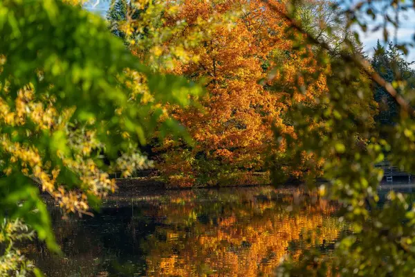 Eine Schöne Aufnahme Von Bunten Bäumen Und Einem See Herbst — Stockfoto