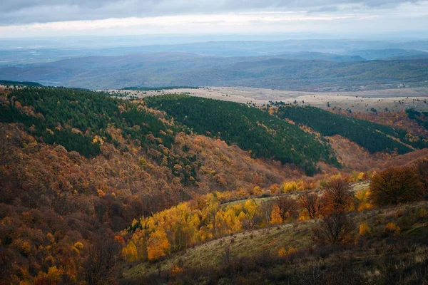 Een Prachtig Landschap Van Grote Heuvels Bergen Bedekt Met Dichte — Stockfoto