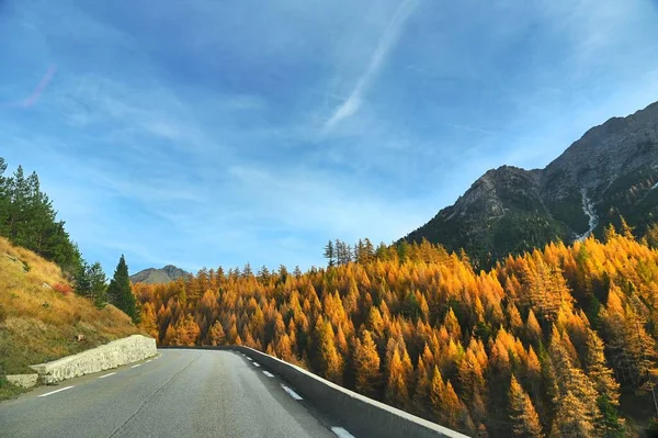 Uma Imagem Uma Estrada Montanhas Cobertas Por Pinheiros Laranja Verde — Fotografia de Stock