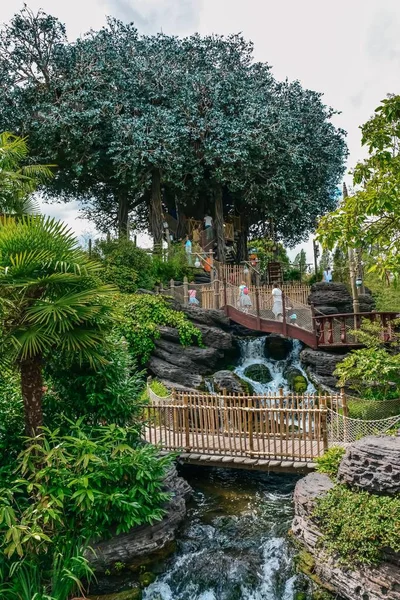 stock image The Robinson Crusoe Tree in Disneyland in Paris, France