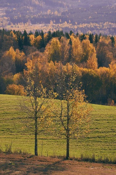 Uno Scatto Verticale Del Paesaggio Culturale Toten Norvegia Una Giornata — Foto Stock