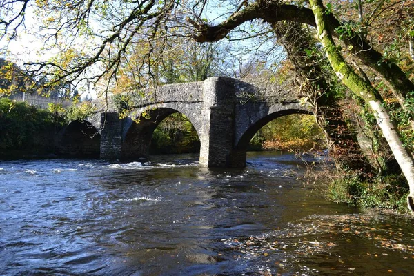 Старый Мост Через Спокойные Воды Реки Дарт Англии Окружении Зеленых — стоковое фото