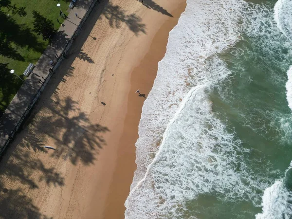 Vue Aérienne Surfeur Marchant Long Manly Beach Sydney Australie — Photo