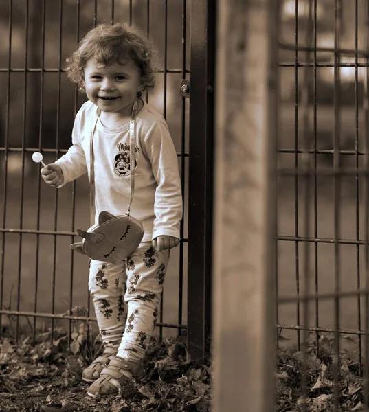 かわいい女の子はロリポップを保持していますし 非常に満足していますHalle Der Saale ザクセン アンハルト州 ドイツ — ストック写真