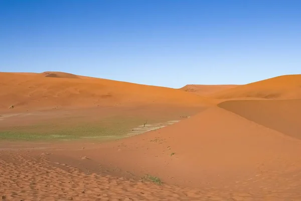 Namibië Namibische Woestijn Grafisch Landschap Van Rode Duinen Bij Zonsondergang — Stockfoto