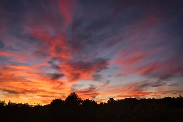 Прекрасна Сцена Заходу Сонця Рожевими Помаранчевими Хмарами Силуетом Дерев — стокове фото