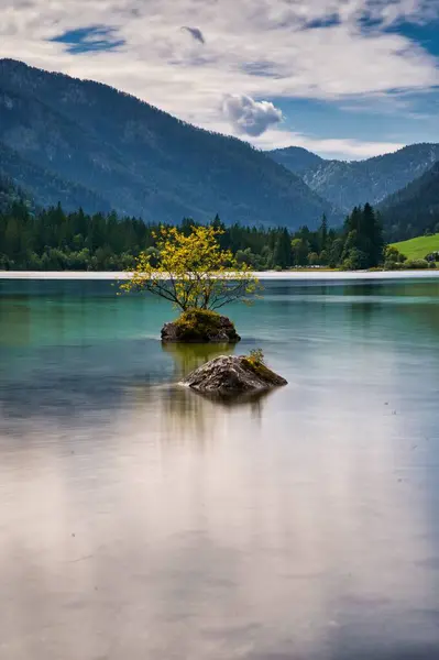 Dağlarla Çevrili Bir Gölün Ortasında Büyüyen Küçük Bir Ağacın Dikey — Stok fotoğraf