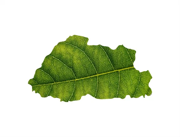 Bhutan Map Form Green Leaf Isolated White Background Ecology Concept — Stock Photo, Image