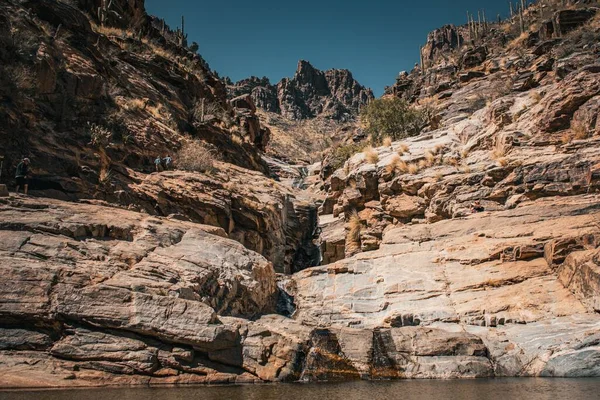 アリゾナ州ツーソンの上で栽培されたサボテンの崖の質感 — ストック写真