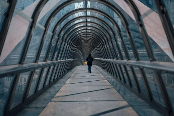 Kobieta Spacerująca Samotnie Moście Japońskim Paryż Francja — Zdjęcie stockowe