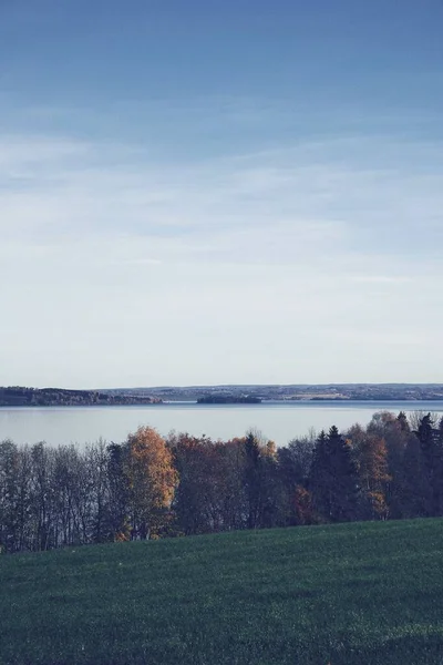 挪威托腾农村的一个垂直镜头 — 图库照片