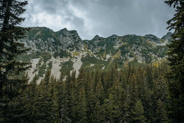 曇り空の下 濃い緑の森に覆われた大きな山 — ストック写真
