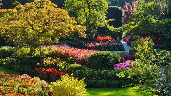 在一个阳光明媚的夏季花园 五彩缤纷的花朵环绕着茂密的灌木丛和树木 尽收眼底 — 图库照片
