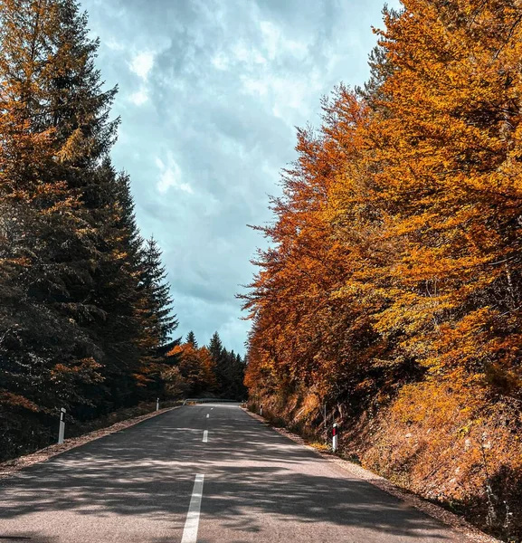 Eine Asphaltierte Straße Zwischen Bunten Herbstbäumen Mit Blauem Bewölkten Himmel — Stockfoto
