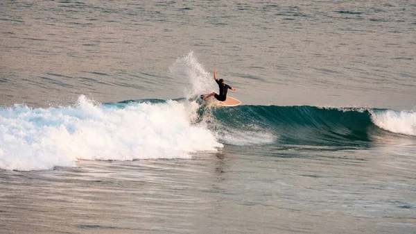 Hombre Surfeando Playa Bondi Sydney —  Fotos de Stock