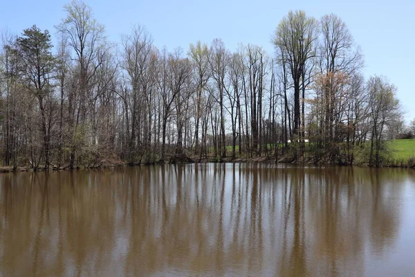 Uma Paisagem Árvores Seu Reflexo Lagoa Carolina Norte Eua — Fotografia de Stock